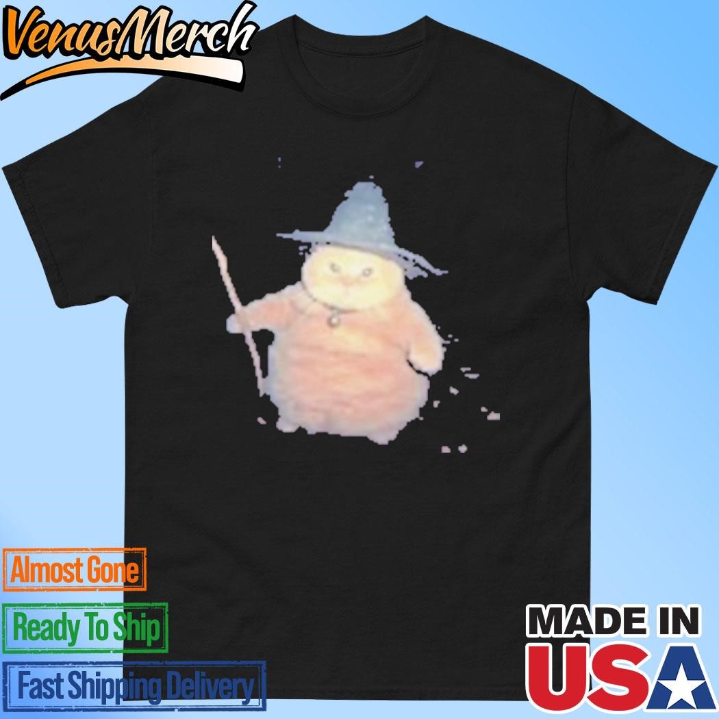 Cat Cheeseball The Wizard T-Shirt