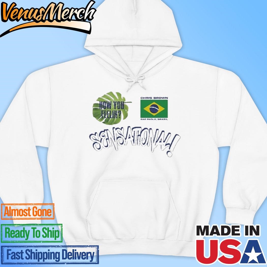 Official Chris Brown Sensational Brazil Hoodie